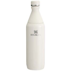 Bouteille d'eau de 600 ml Stanley All Day Slim