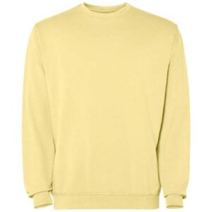 Pull ras du cou Jaya unisexe